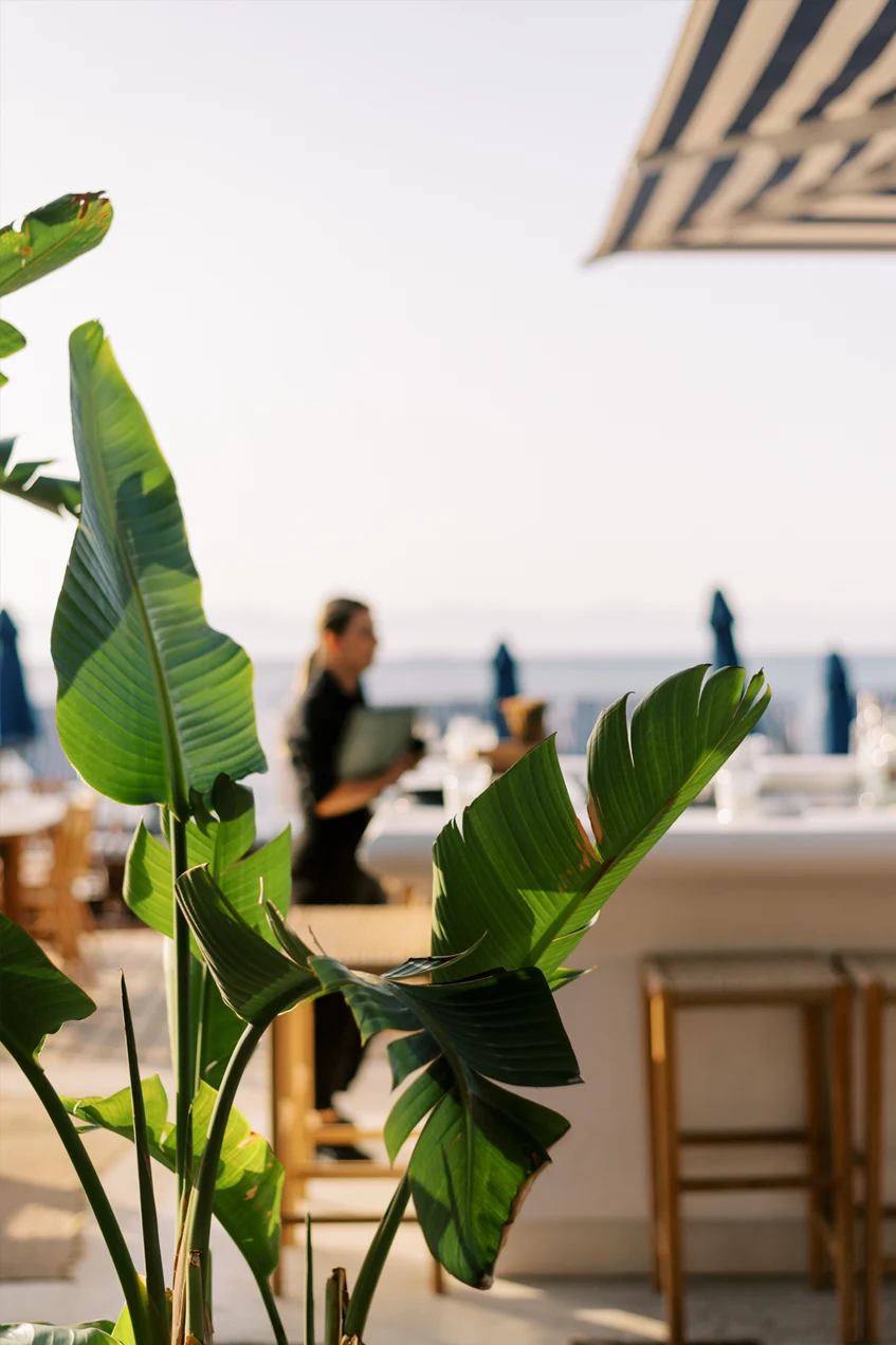 norproject-allday-gallery2